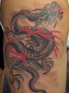 tattoos pic of dragon